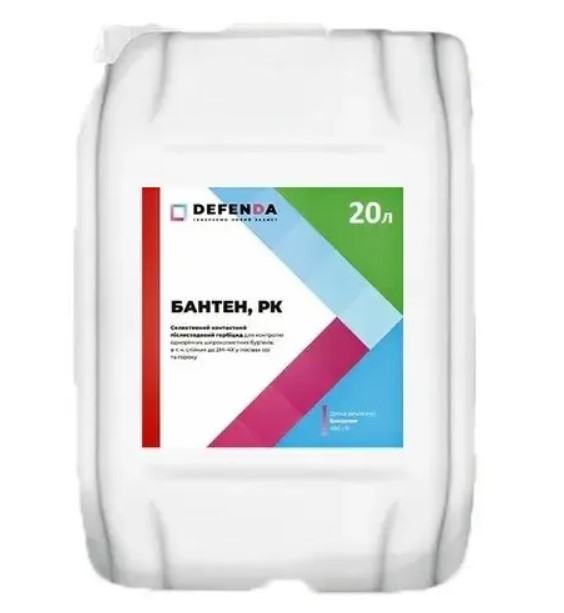 Бантен Бантен