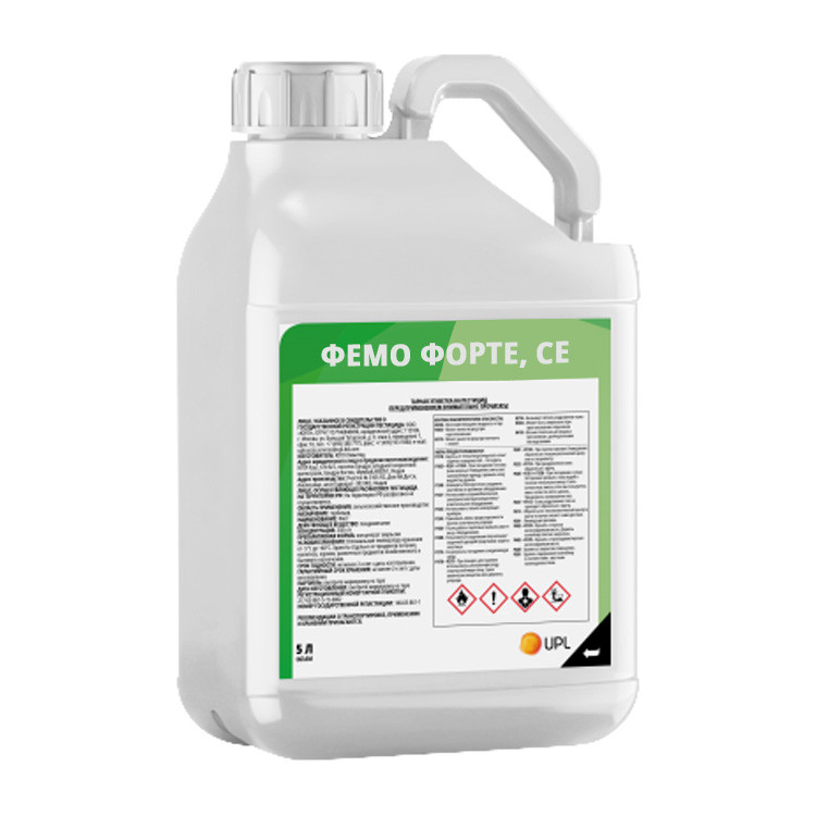 Фемо Форте Фемо Форте