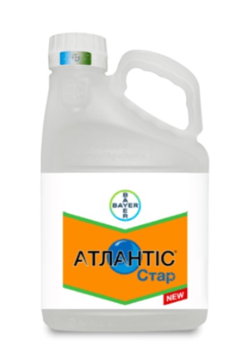 Атлантіс Стар, ВК, 3 кг