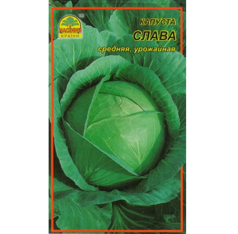 Семена капусты Слава 1 г (Насіння країни) Семена капусты Слава 1 г (Насіння країни)