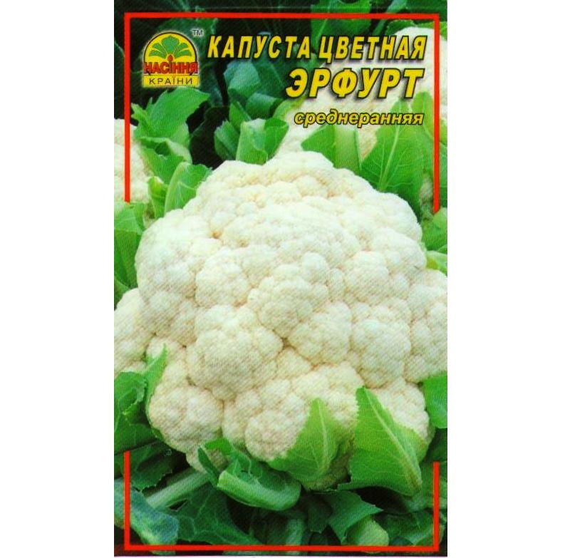 Семена капусты цветной Эрфурт 0,5 г Семена капусты цветной Эрфурт 0,5 г