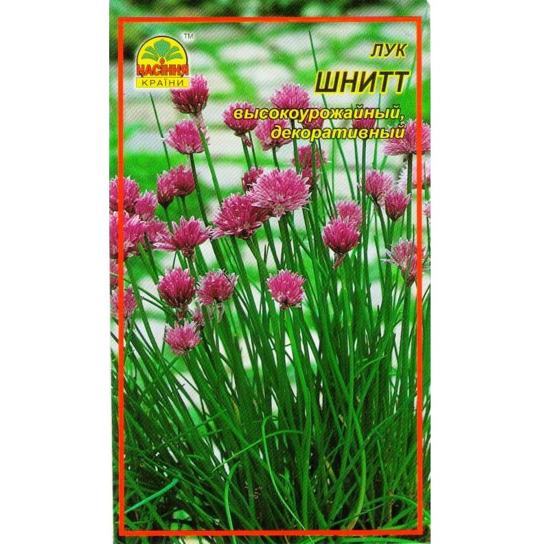 Насіння цибулі Шнітт 0,5 г (Насіння країни) Насіння цибулі Шнітт 0,5 г (Насіння країни)