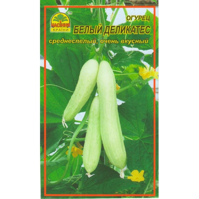 Семена огурца Белый деликатес 5 шт. (Насіння країни) Семена огурца Белый деликатес 5 шт. (Насіння країни)