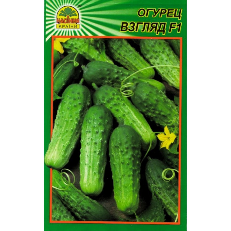 Семена огурца Взгляд F1 15 шт. (Насіння країни) Семена огурца Взгляд F1 15 шт. (Насіння країни)