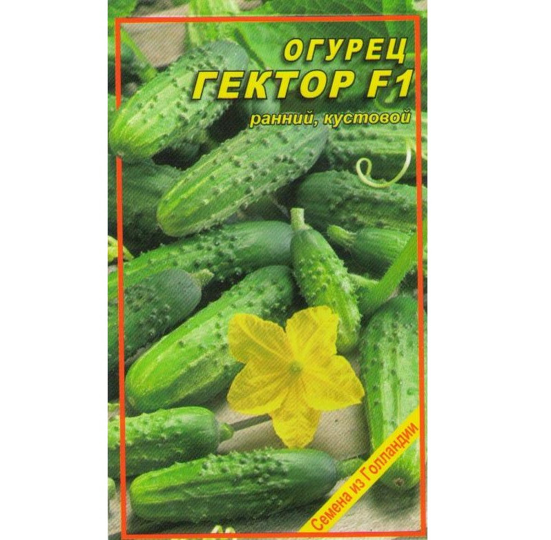 Семена огурца Гектор F1 10 шт. Семена огурца Гектор F1 10 шт.