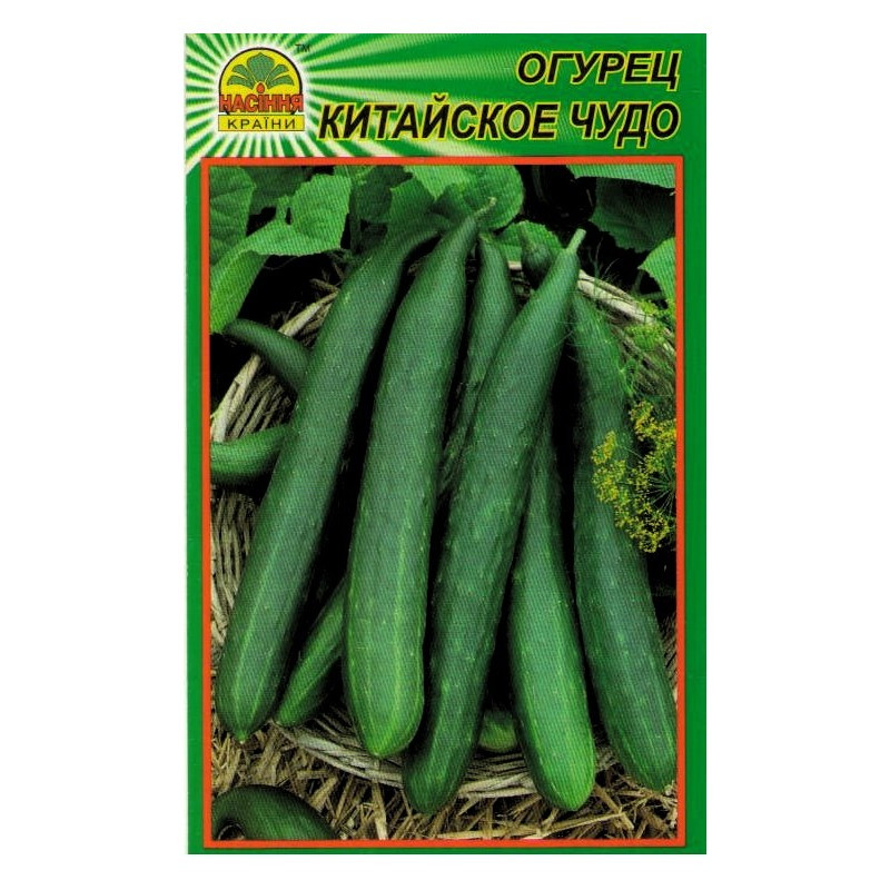 Семена огурца Китайское чудо 10 шт. (Насіння країни) Семена огурца Китайское чудо 10 шт. (Насіння країни)
