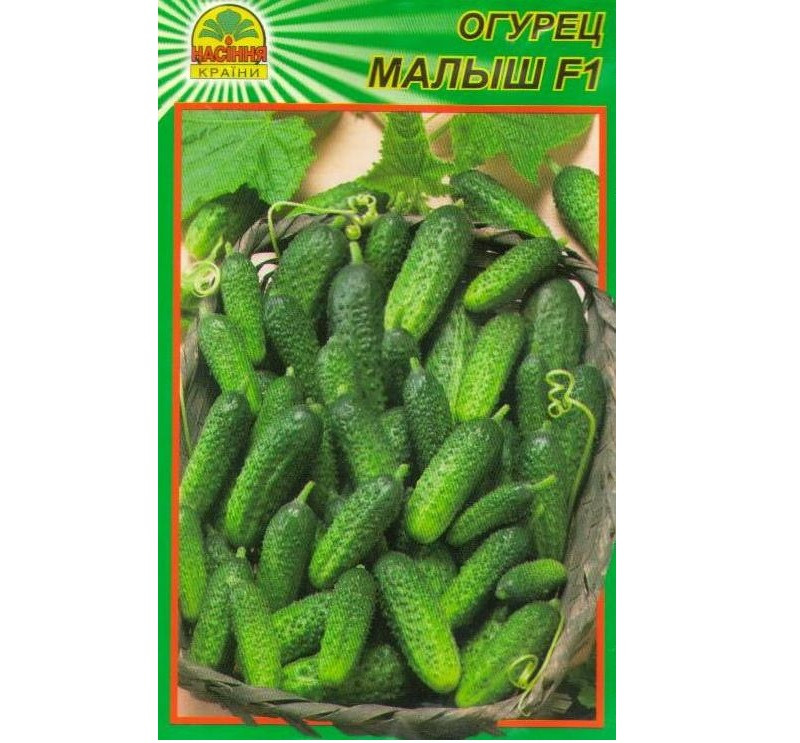 Семена огурца Малыш F1 15 шт. (Насіння країни) Семена огурца Малыш F1 15 шт. (Насіння країни)