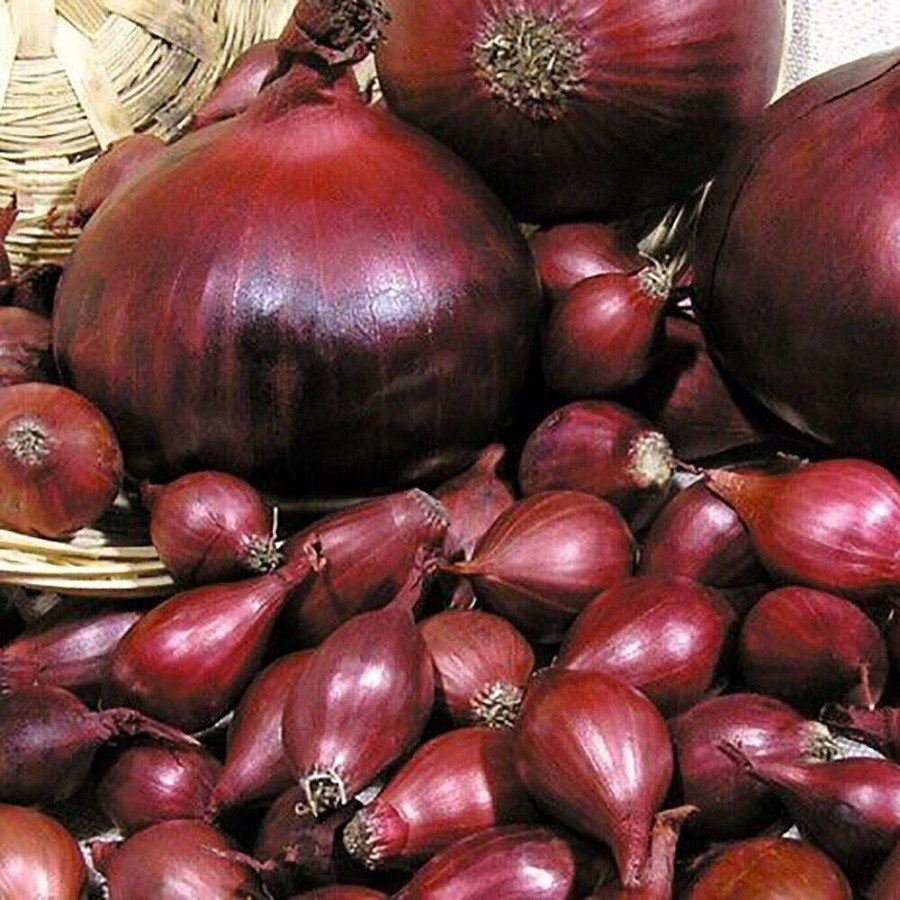 Цибуля сівок Ред Барон 0,5 кг Цибуля сівок Ред Барон 0,5 кг