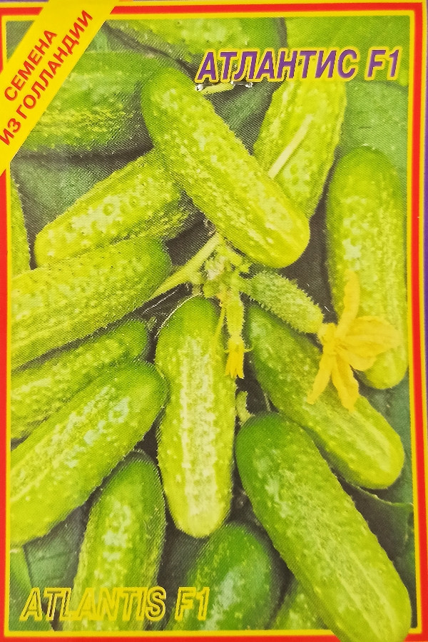 Огурец Атлантис F 1 10 шт Огурец Атлантис F 1 10 шт