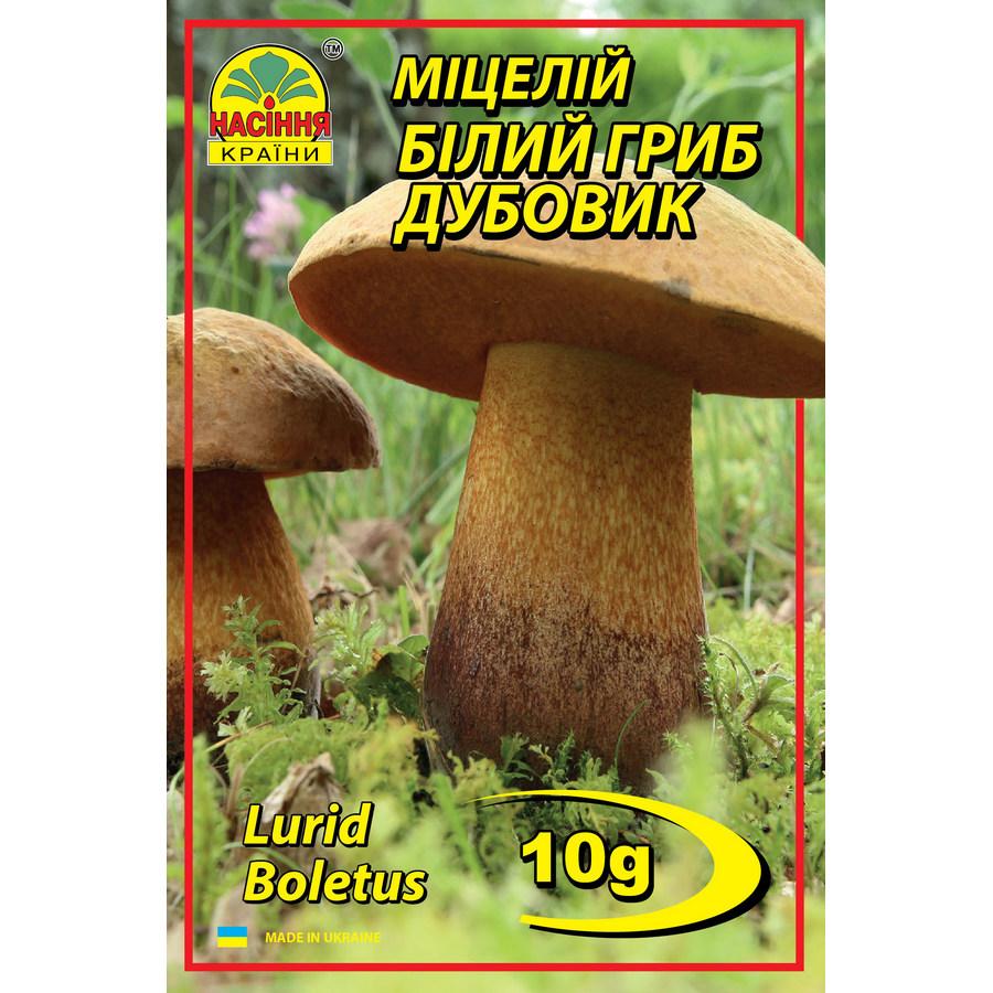 Белый гриб Дубовик 10 г Белый гриб Дубовик 10 г