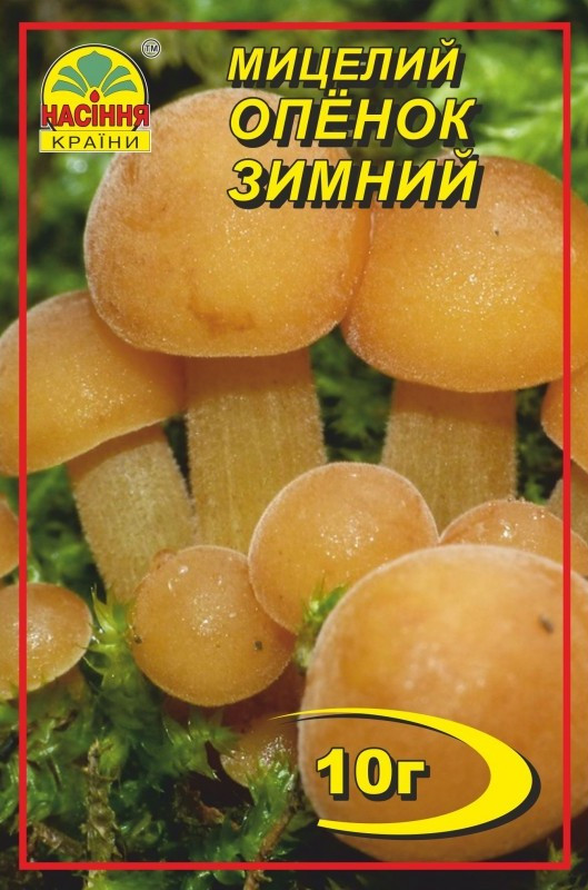 Опенок зимний 10 г Опенок зимний 10 г