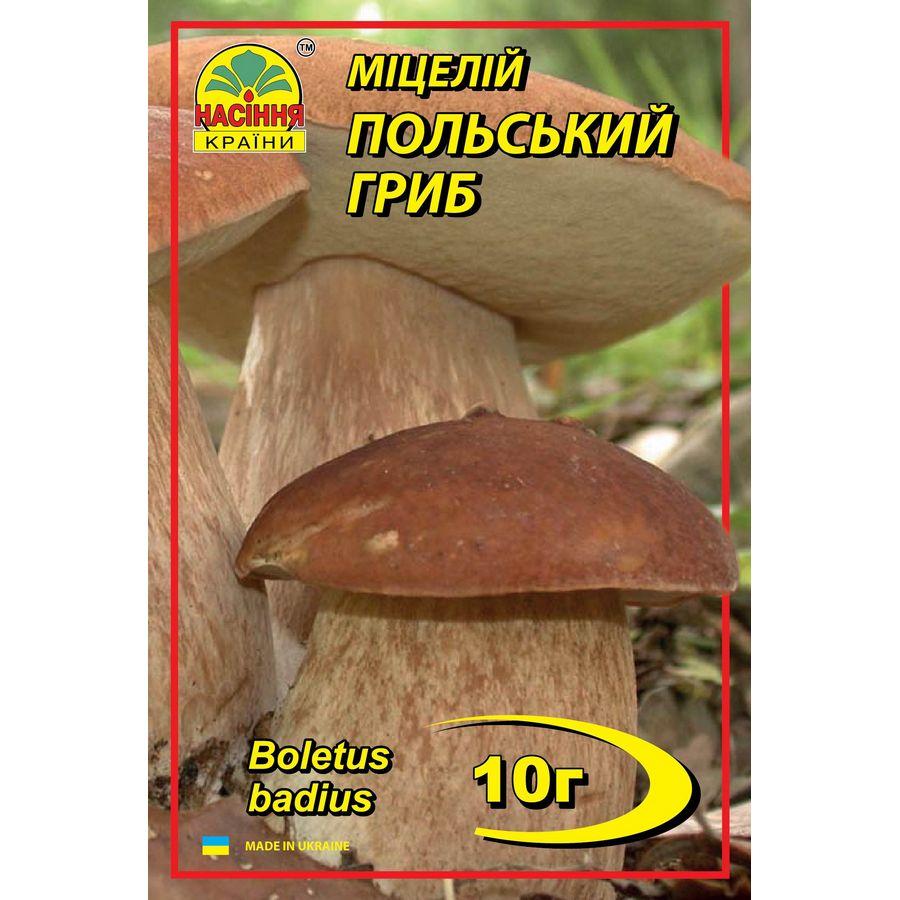 Польский гриб 10 г Польский гриб 10 г