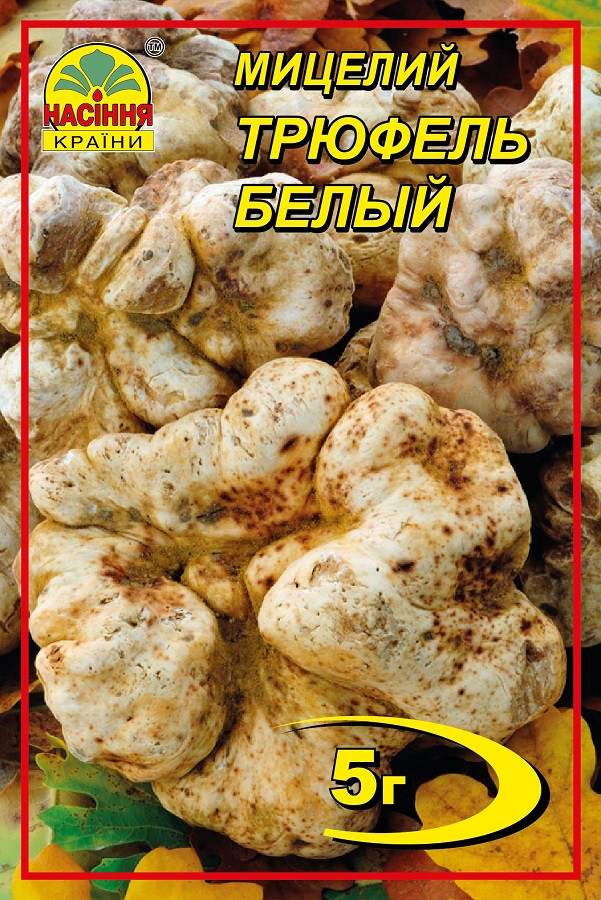 Трюфель белый 5 г Трюфель белый 5 г