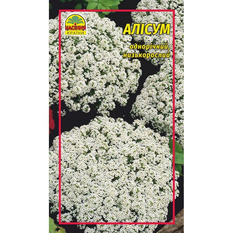 Семена Алиссум белый 0.1 г (Насіння країни) Семена Алиссум белый 0.1 г (Насіння країни)