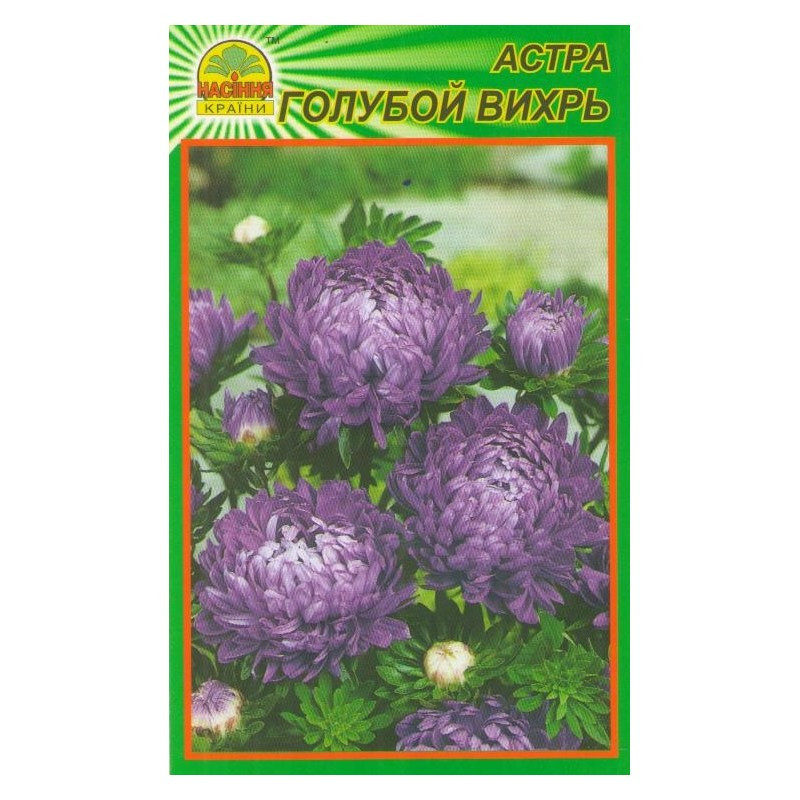 Семена Астра голубой вихрь 0,3 г (Насіння країни) Семена Астра голубой вихрь 0,3 г (Насіння країни)