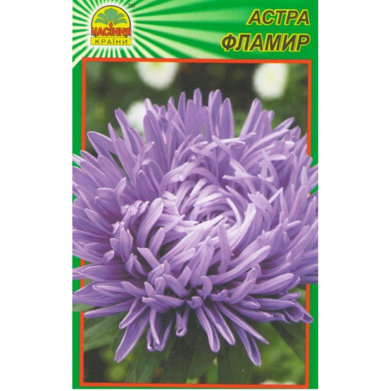 Насіння Айстра Фламір 0,3 г (Насіння країни) Насіння Айстра Фламір 0,3 г (Насіння країни)