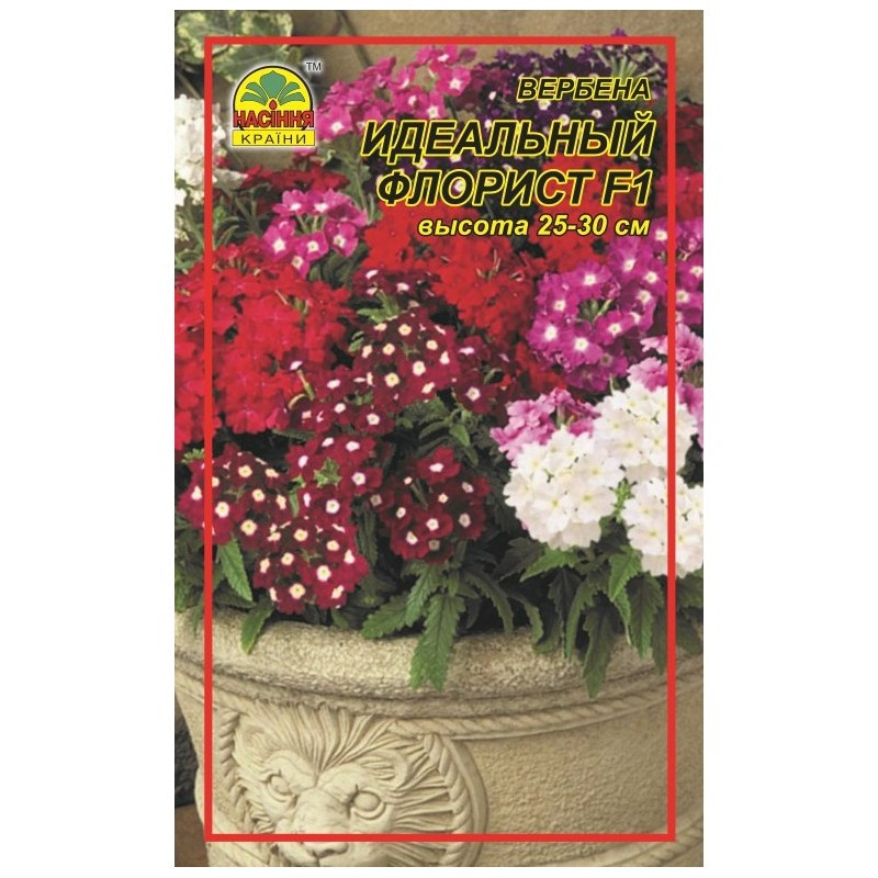 Насіння Вербена Ідеальний флорист F1 0,1 г Насіння Вербена Ідеальний флорист F1 0,1 г