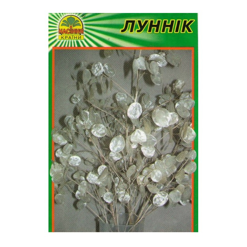 Насіння Лунник (лунарія) 10 шт. (Насіння країни) Насіння Лунник (лунарія) 10 шт. (Насіння країни)