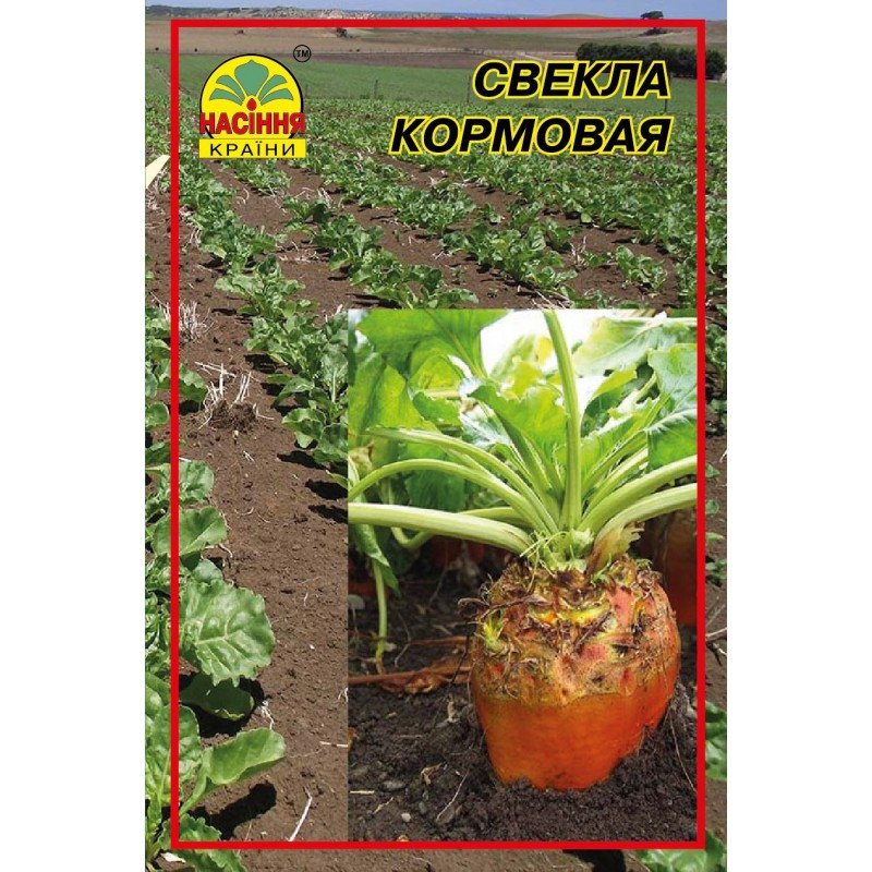 Насіння буряка кормового Рекорд полі 20 г (Насіння країни) Насіння буряка кормового Рекорд полі 20 г (Насіння країни)