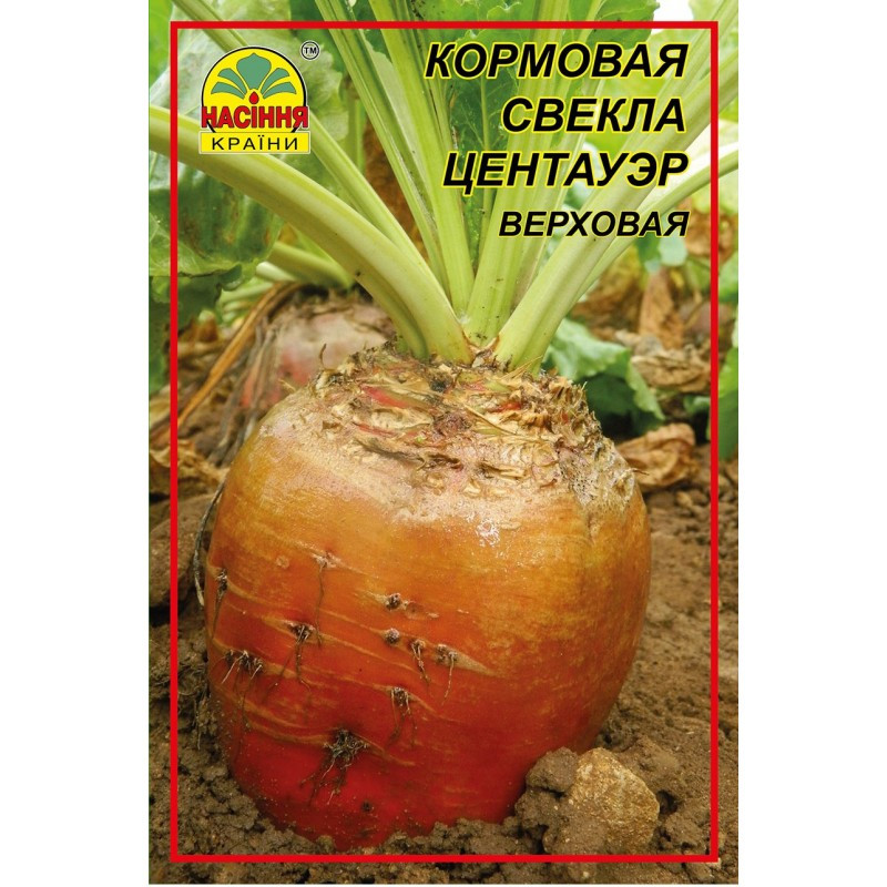 Насіння буряка кормового Центауер 20 г (Насіння країни) Насіння буряка кормового Центауер 20 г (Насіння країни)