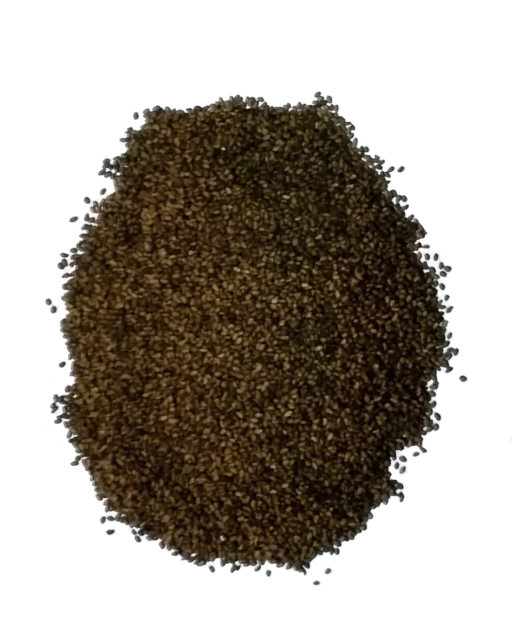 Насіння люцерни 1 кг (Насіння країни) Насіння люцерни 1 кг (Насіння країни)