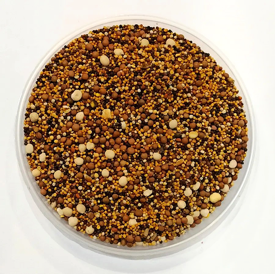 Смесь сидератов (горчица, вика, люпин, сурепка, редька масличная) - 1 кг Смесь сидератов (горчица, вика, люпин, сурепка, редька масличная) - 1 кг