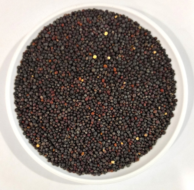 Семена Рапса 1 кг (Насіння країни) Семена Рапса 1 кг (Насіння країни)