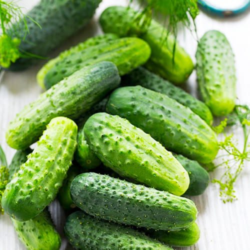 Насіння огірка Вісконсін, 0,5 кг Насіння огірка Вісконсін, 0,5 кг