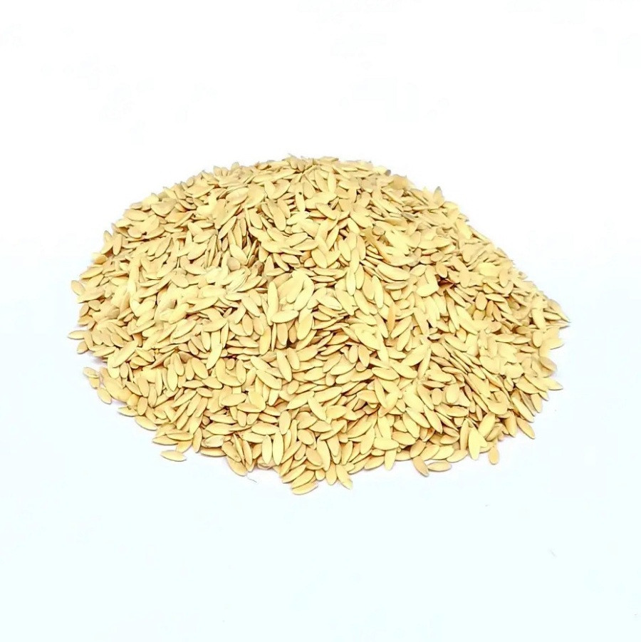 Семена огурца Феникс плюс 0,5 кг Семена огурца Феникс плюс 0,5 кг