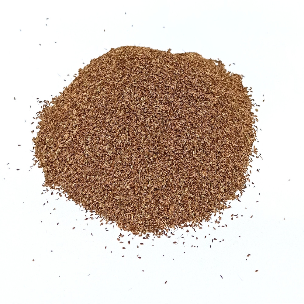 Насіння Кропу кущового 0,5 кг (Насіння країни) Насіння Кропу кущового 0,5 кг (Насіння країни)