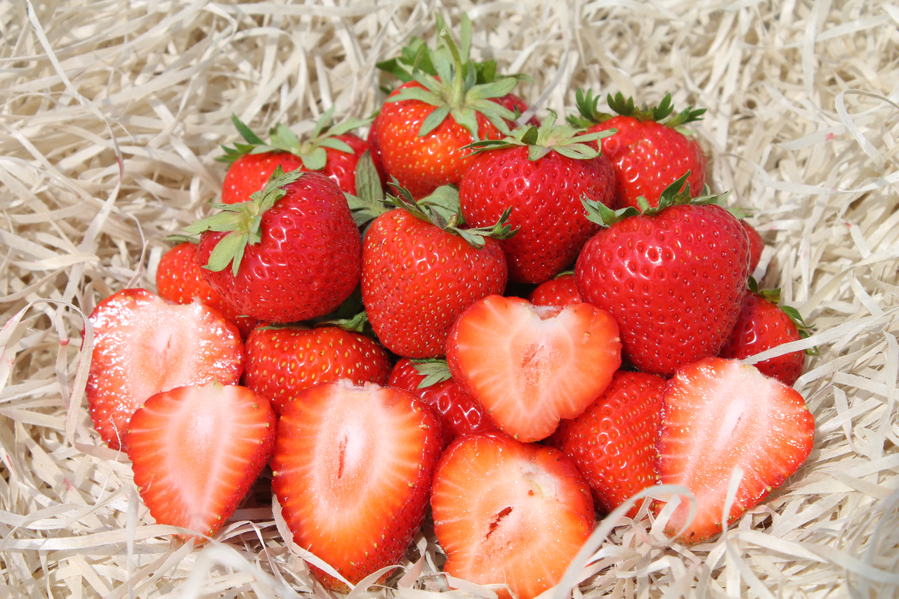 Саджанці полуниці Монтеріні - 5 шт.