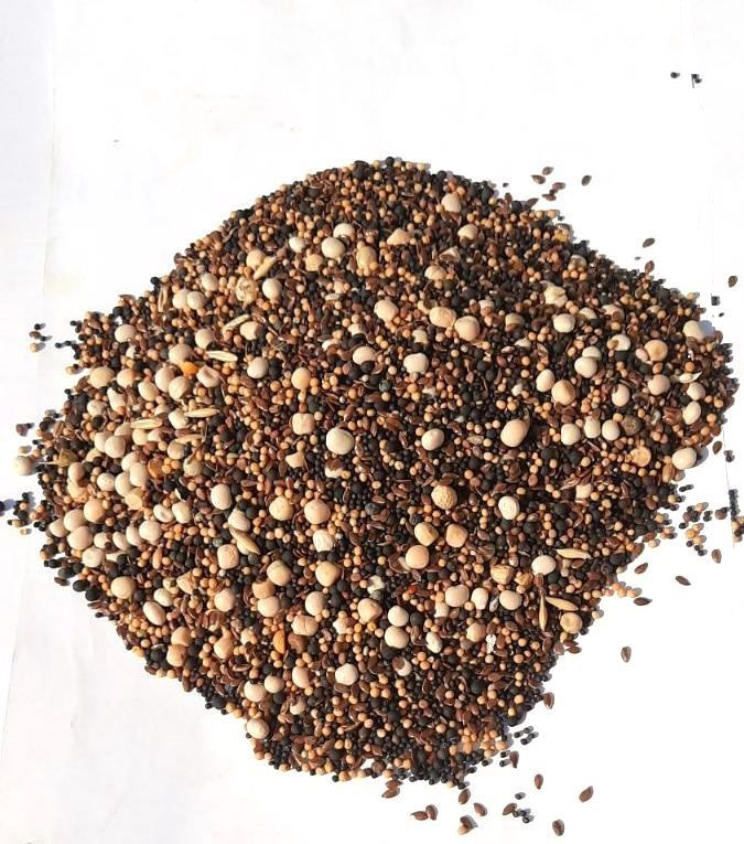 Смесь сидератов под картошку (с добавлением льна) - 1 кг Смесь сидератов под картошку (с добавлением льна) - 1 кг