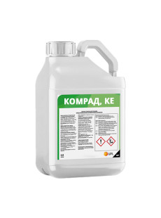 Комрад Комрад