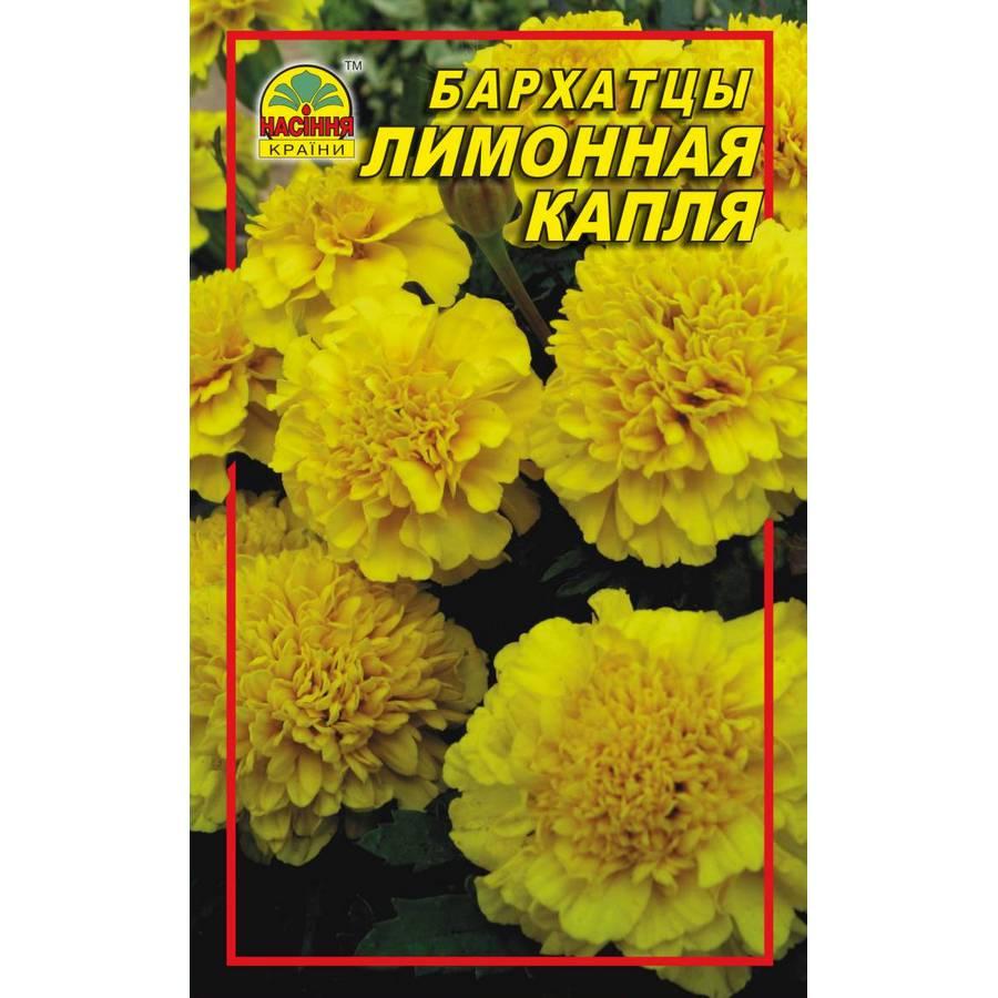 Семена Бархатцы (чернобрывцы) лимонная капля 0,5 г Семена Бархатцы (чернобрывцы) лимонная капля 0,5 г