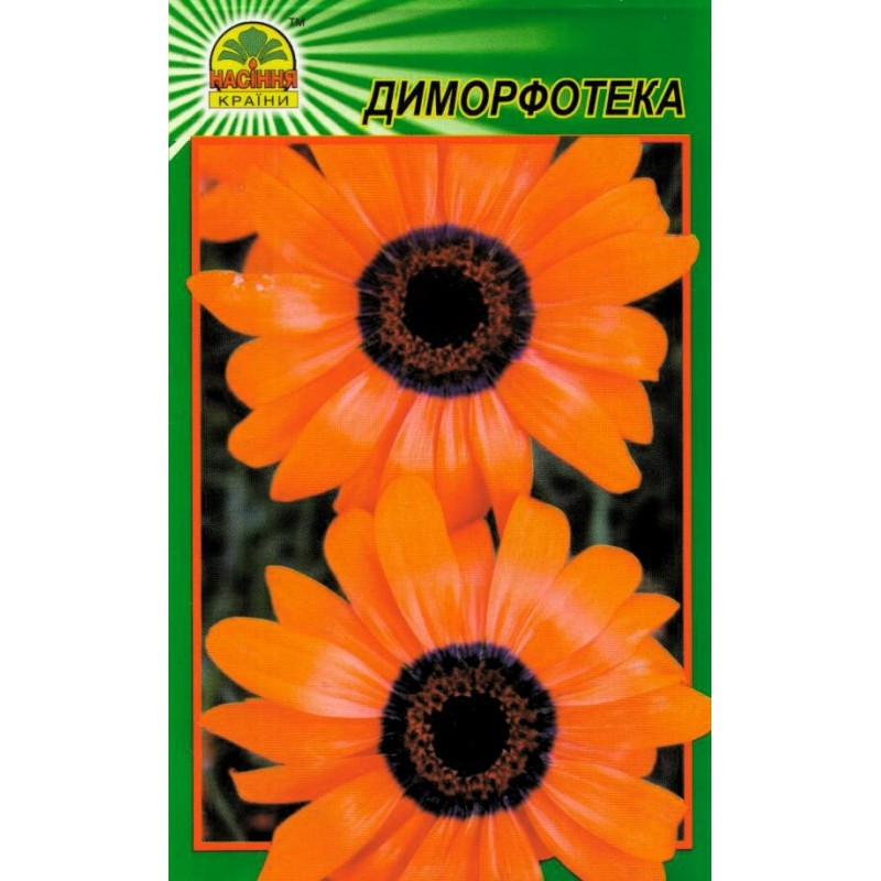 Семена Диморфотека 0,2 г (Насіння країни) Семена Диморфотека 0,2 г (Насіння країни)
