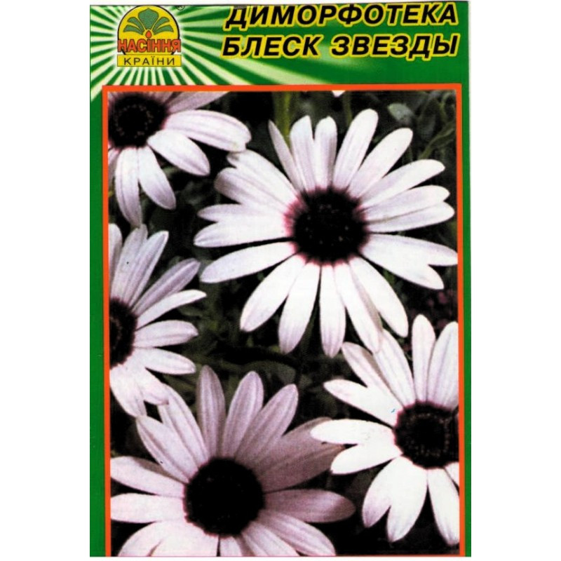 Семена Диморфотека блеск звезды 0,2 г (Насіння країни) Семена Диморфотека блеск звезды 0,2 г (Насіння країни)