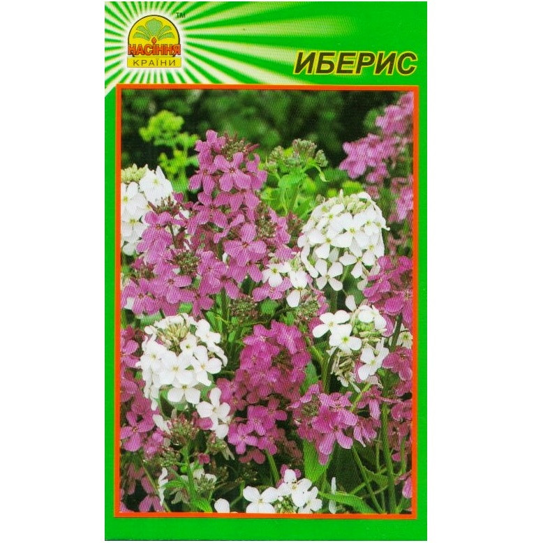 Семена Иберис 0,3 г (Насіння країни) Семена Иберис 0,3 г (Насіння країни)