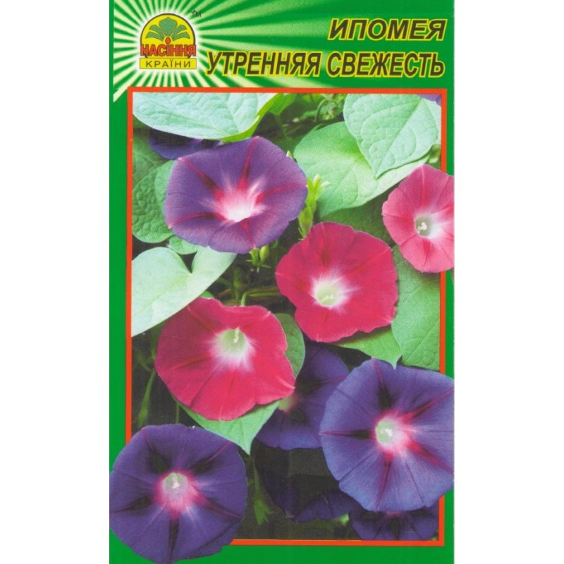 Семена Ипомея утренняя свежесть 0,5 г (Насіння країни) Семена Ипомея утренняя свежесть 0,5 г (Насіння країни)