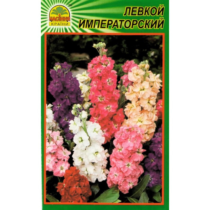 Семена Левкой императорский 0,1 г (Насіння країни) Семена Левкой императорский 0,1 г (Насіння країни)