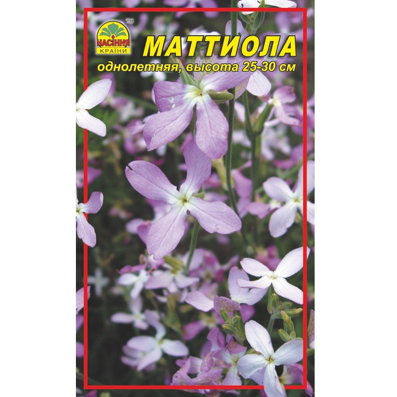 Семена Маттиола ночная фиалка 0,5 г Семена Маттиола ночная фиалка 0,5 г