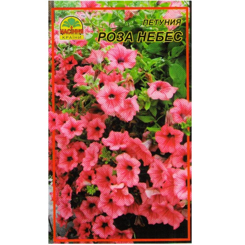 Семена Петуния Роза небес 0,05 г Семена Петуния Роза небес 0,05 г