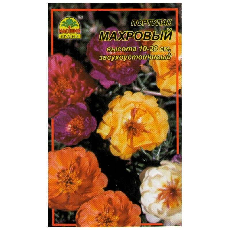 Насіння Портулак махровий 0,01 г (500 шт.) Насіння Портулак махровий 0,01 г (500 шт.)