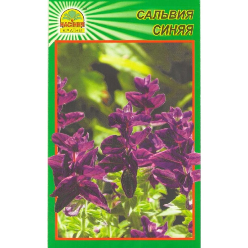 Семена Сальвия синяя 10 шт. (Насіння країни) Семена Сальвия синяя 10 шт. (Насіння країни)