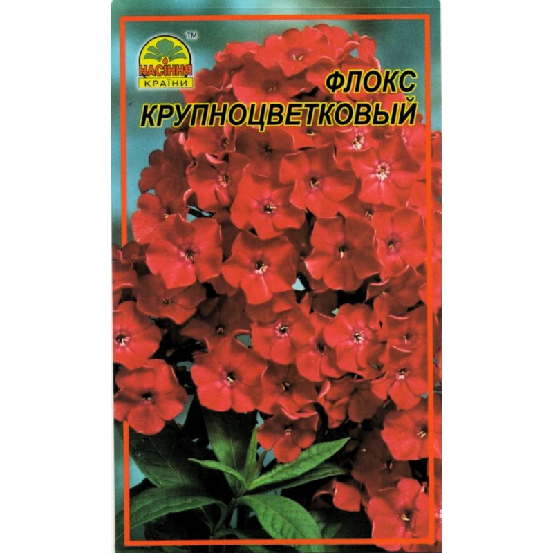 Насіння Флокс великоквітковий 30 шт. (Насіння країни) Насіння Флокс великоквітковий 30 шт. (Насіння країни)