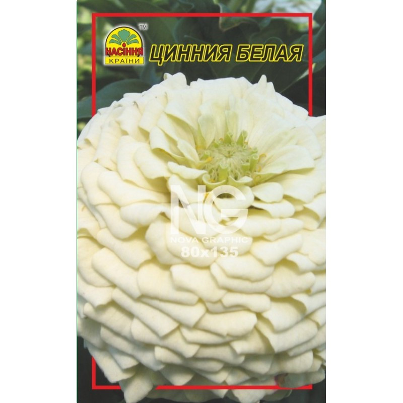 Насіння Цинія біла 0,5 г (Насіння країни) Насіння Цинія біла 0,5 г (Насіння країни)