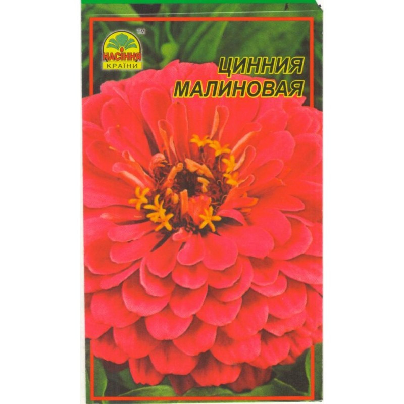 Насіння Цинія малинова 0,5 г (Насіння країни) Насіння Цинія малинова 0,5 г (Насіння країни)