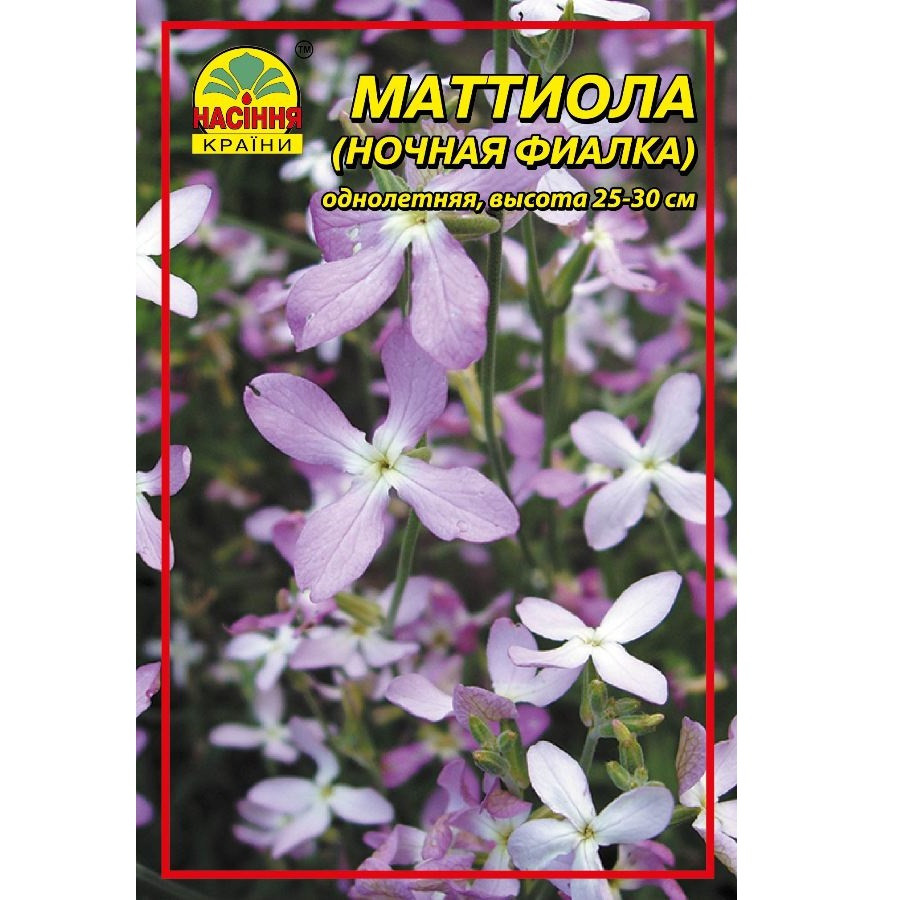 Насіння квітів Матіола нічна фіалка 5 г Насіння квітів Матіола нічна фіалка 5 г