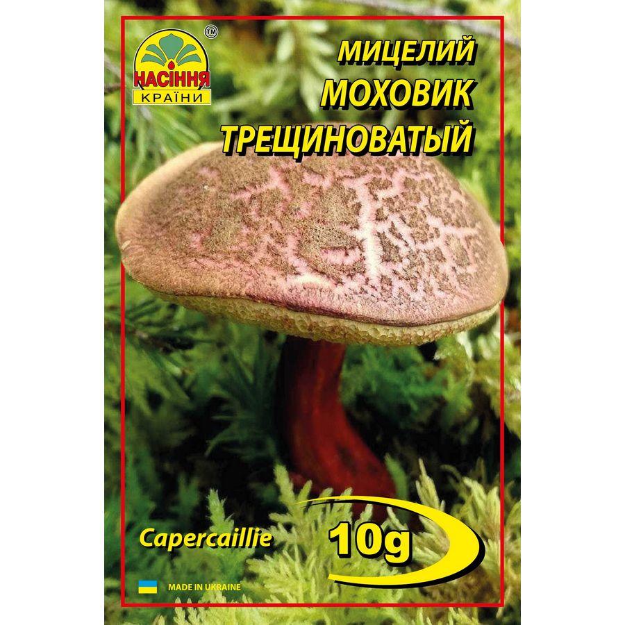 Моховик тріщинуватий (строкатий) - 10 г Моховик тріщинуватий (строкатий) - 10 г