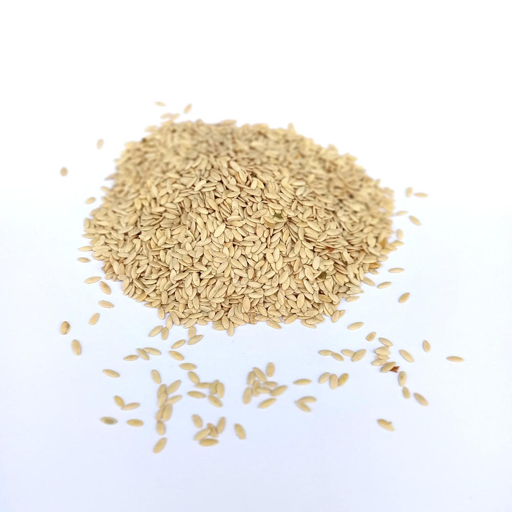 Семена огурца Засолочный 0,5 кг Семена огурца Засолочный 0,5 кг