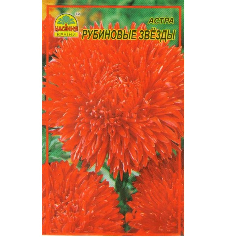 Семена Астра рубиновые звезды 0,3 г (Насіння країни)